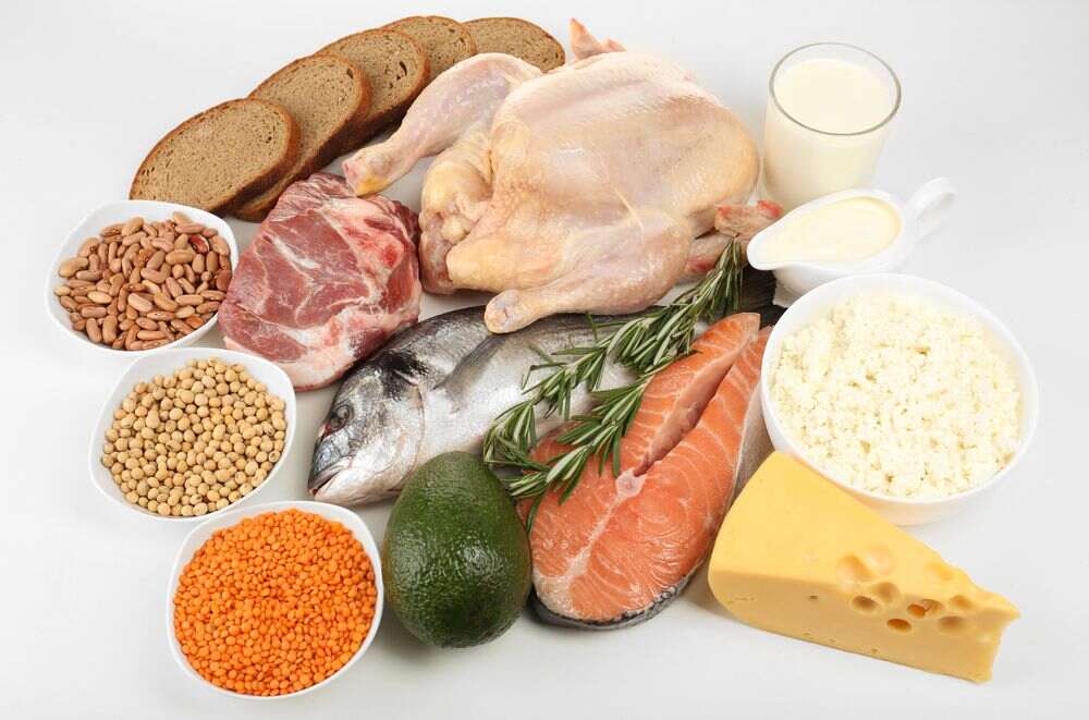 Specialist Suppliers Provide Quality Proteins 