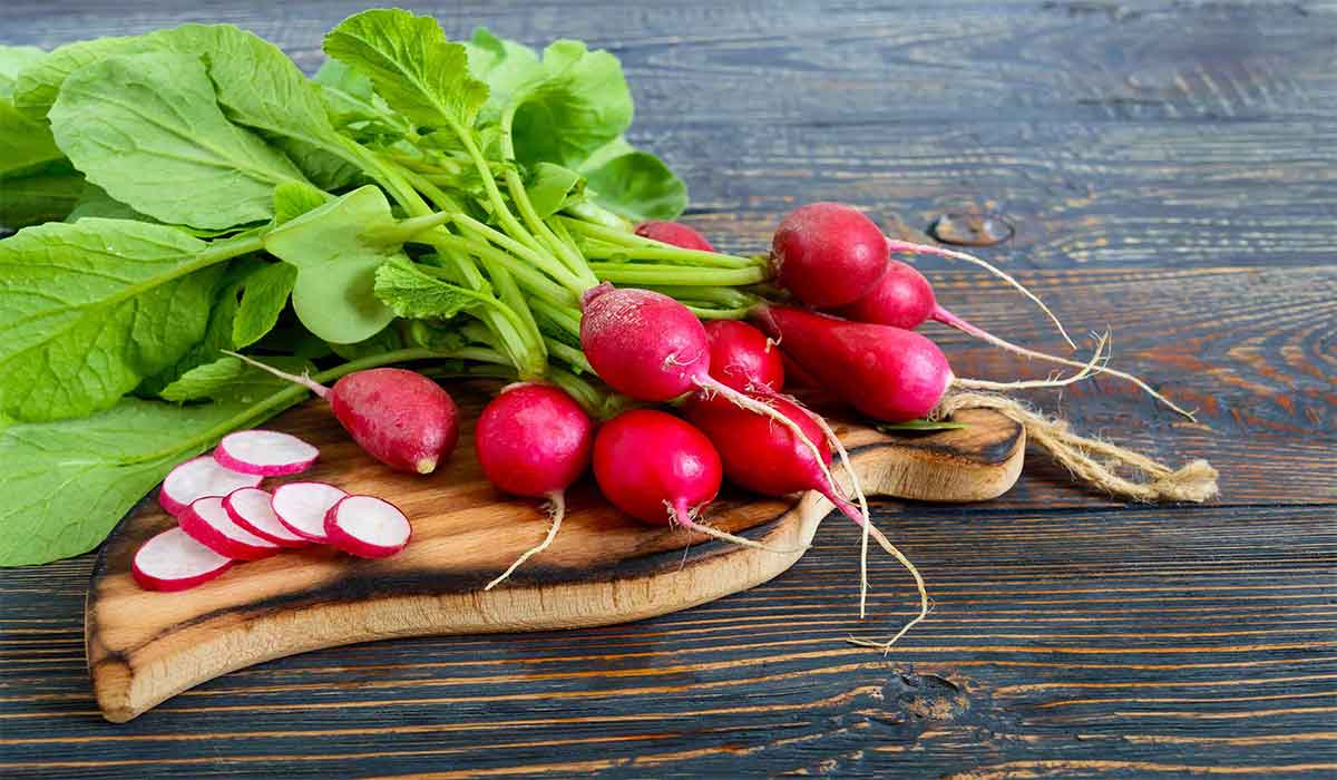 Radishes